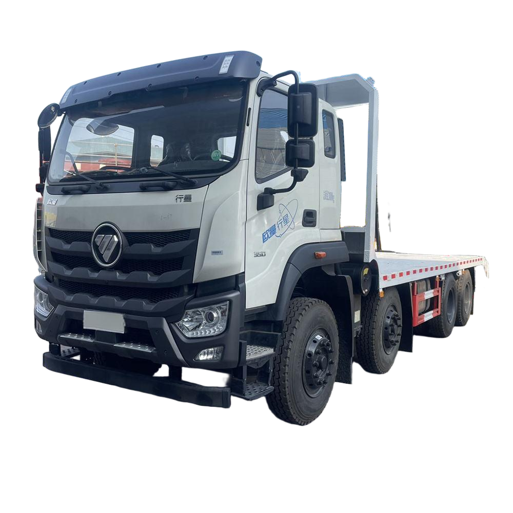 Foton 8*4 Camiones De Carga Diesel Para El Transporte Eficiente De Excavadoras Y Cargas Pesadas